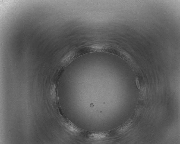 X0000060570765200511101629