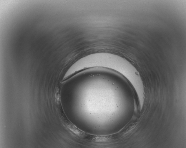 X0000060570766200511101629