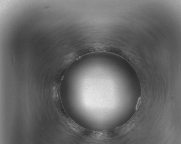 X0000060570768200511101629