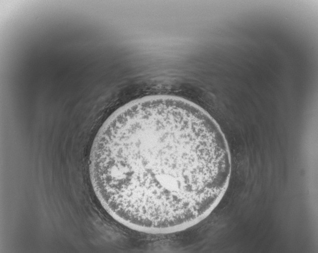 X0000060570769200511101629