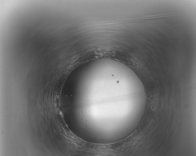 X0000060570770200511101629