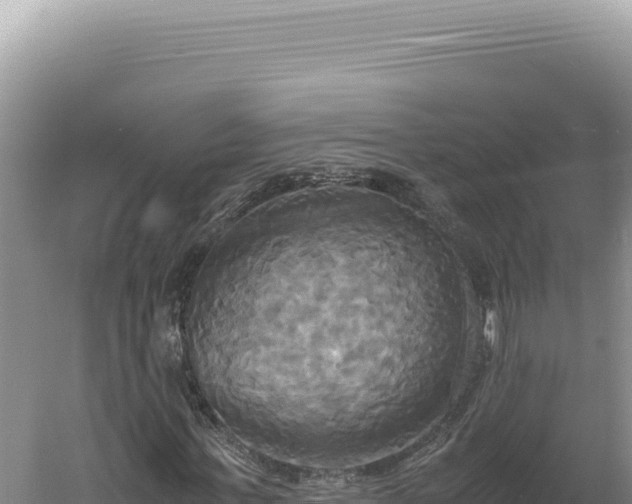 X0000060570771200511101629