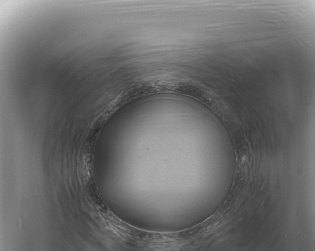 X0000060570772200511101629