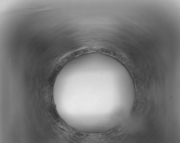 X0000060570773200511101629