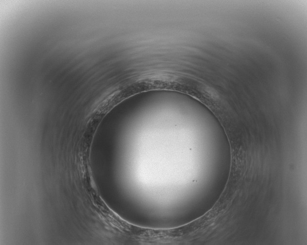 X0000060570774200511101629