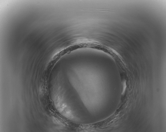 X0000060570775200511101628