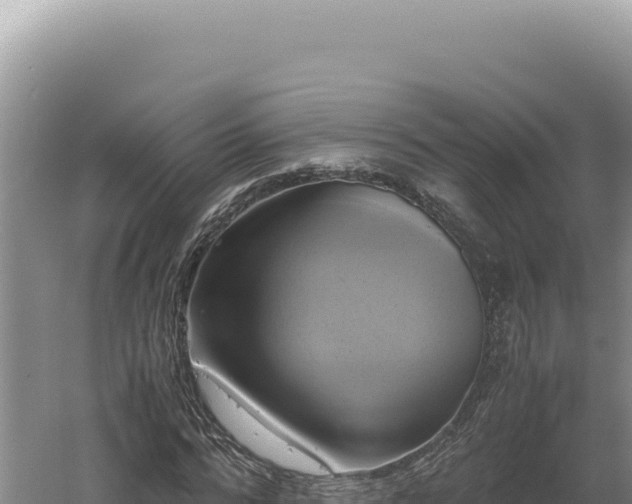 X0000060570776200511101628