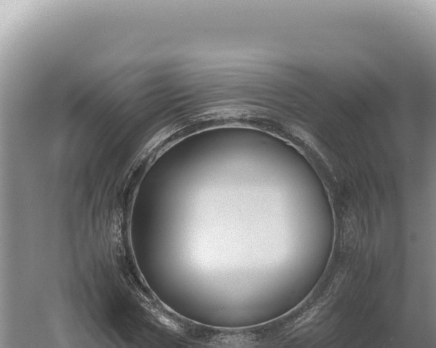 X0000060570778200511101628