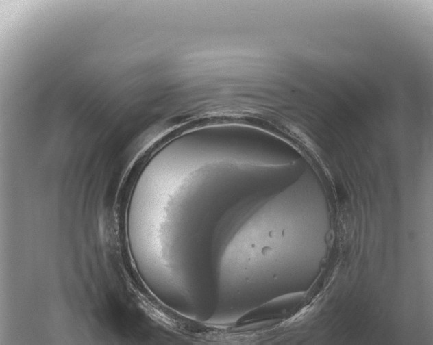 X0000060570779200511101628