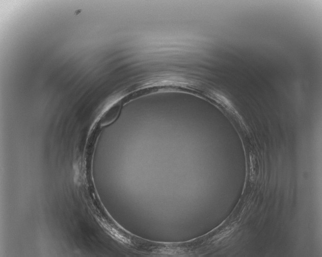 X0000060570780200511101628