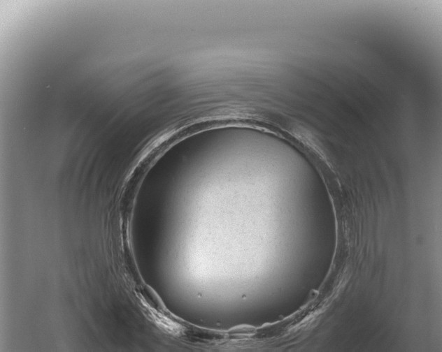 X0000060570781200511101628