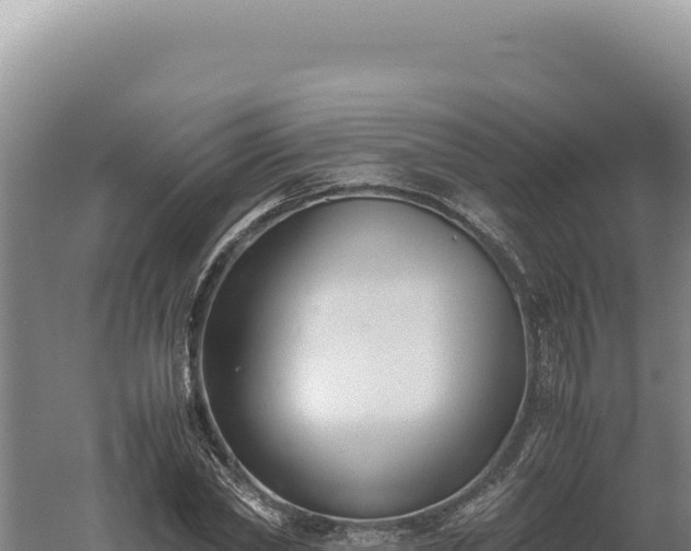 X0000060570782200511101628