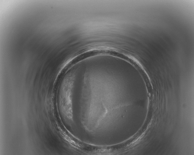 X0000060570783200511101628