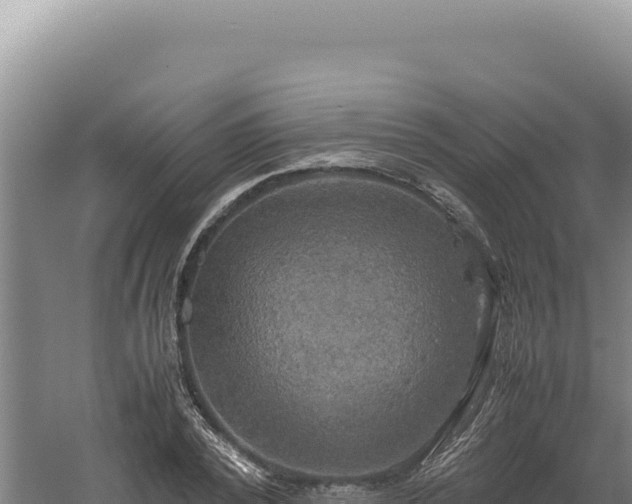 X0000060570784200511101628