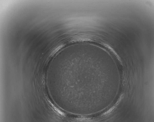 X0000060570785200511101628