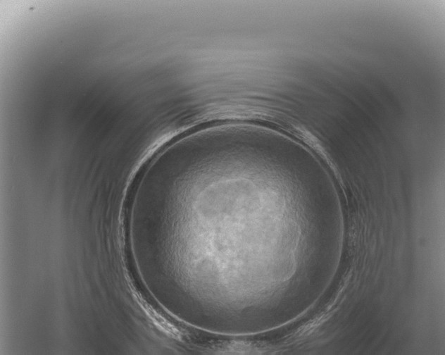 X0000060570787200511101628