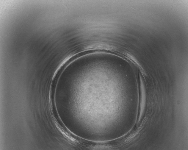 X0000060570788200511101628