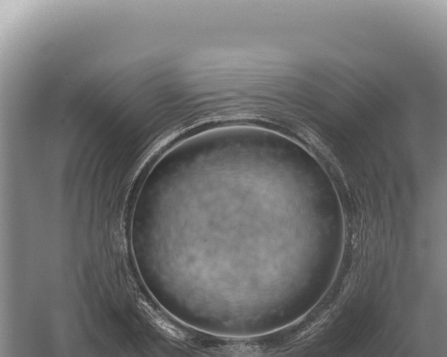 X0000060570789200511101628