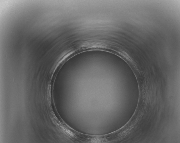 X0000060570790200511101628