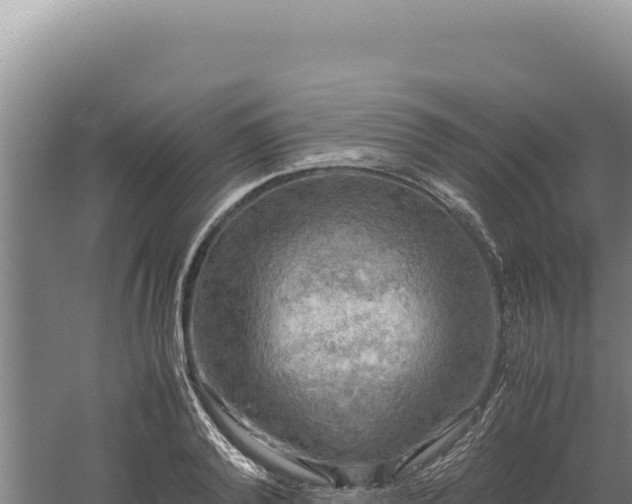 X0000060570792200511101628