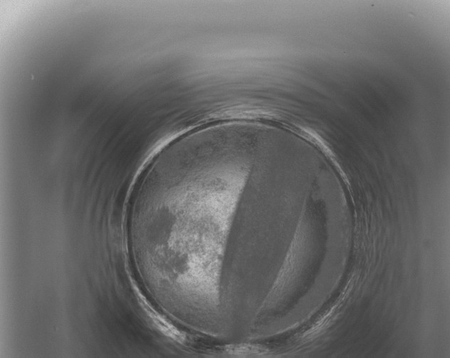 X0000060570795200511101628