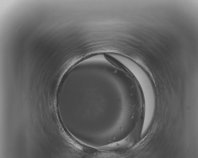 X0000060570797200511101628