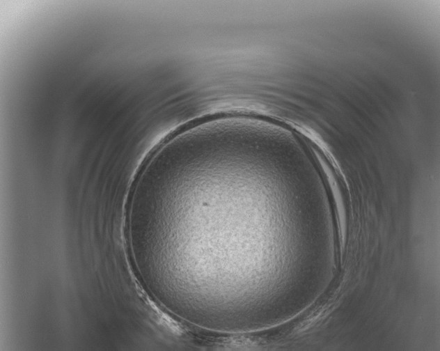 X0000060570799200511101628