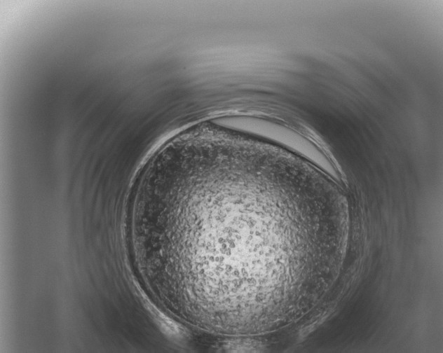 X0000060570803200511101628