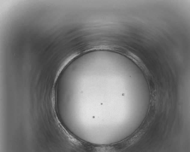 X0000060570804200511101628