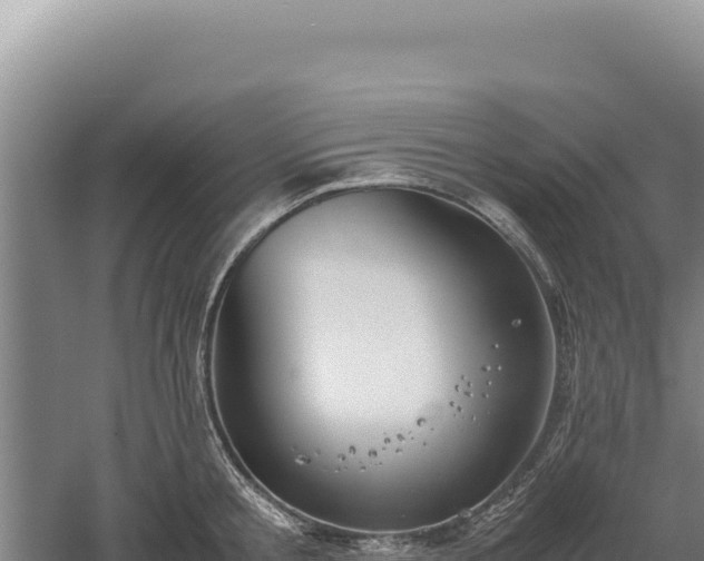 X0000060570805200511101628