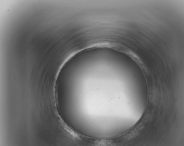 X0000060570808200511101628