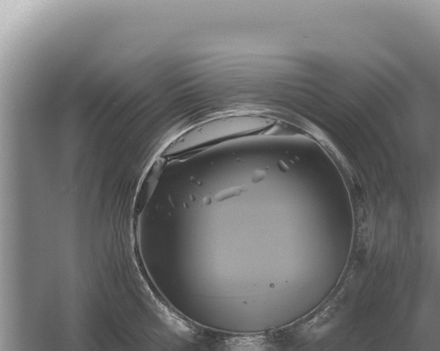 X0000060570810200511101628