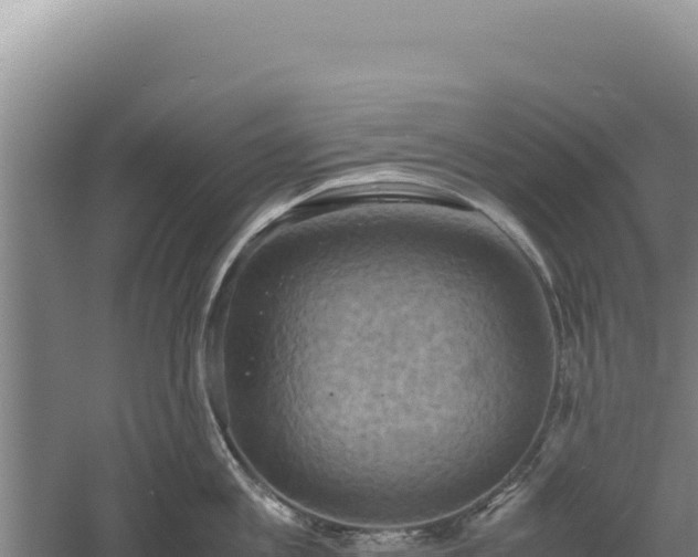 X0000060570813200511101628