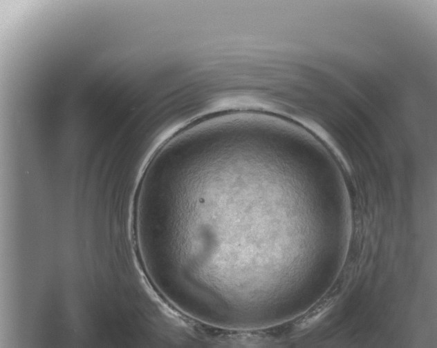 X0000060570815200511101628