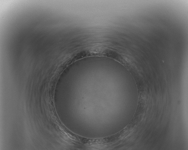 X0000060570817200511101627