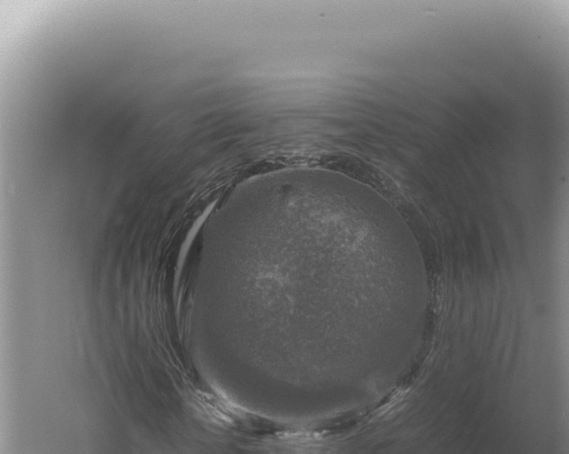 X0000060570818200511101627