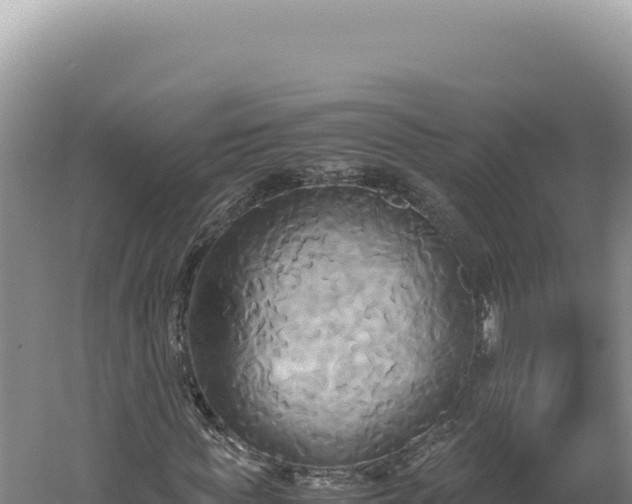 X0000060570819200511101627