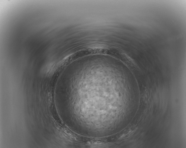 X0000060570821200511101627