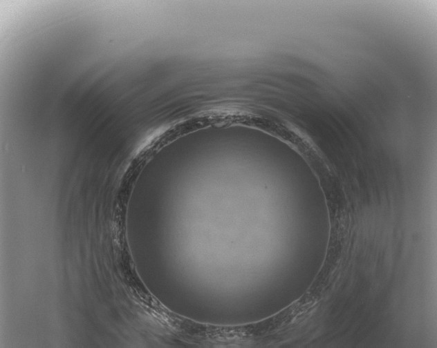 X0000060570823200511101627