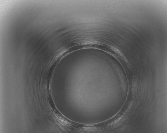 X0000060570825200511101627