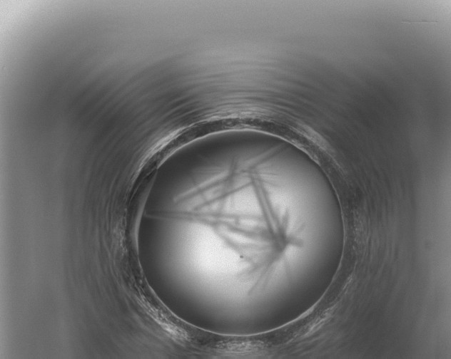 X0000060570826200511101627