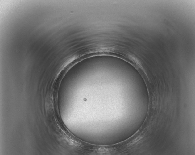 X0000060570827200511101627