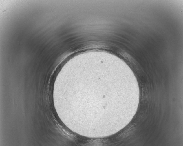 X0000060570828200511101627