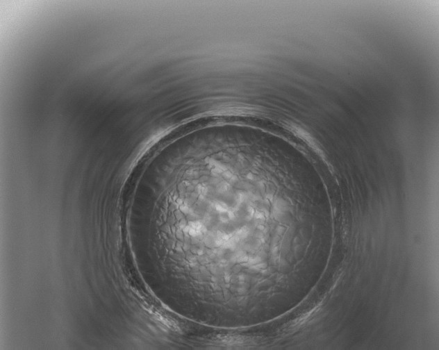 X0000060570829200511101627