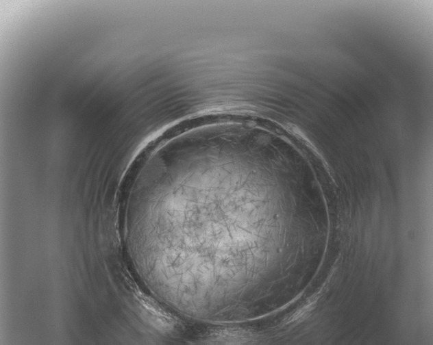 X0000060570830200511101627