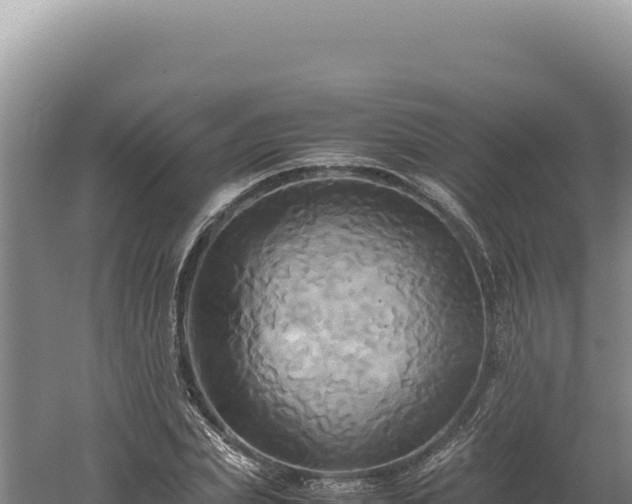 X0000060570831200511101627