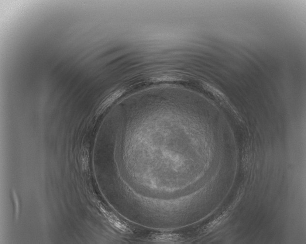 X0000060570833200511101627