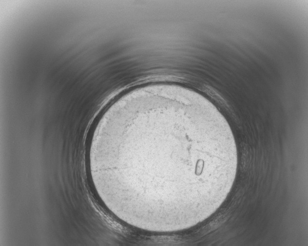 X0000060570836200511101627