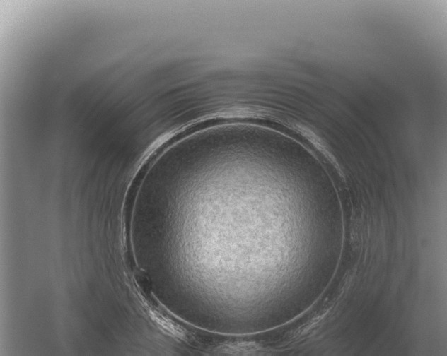 X0000060570837200511101627