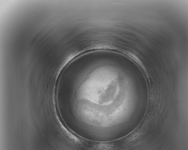 X0000060570847200511101627